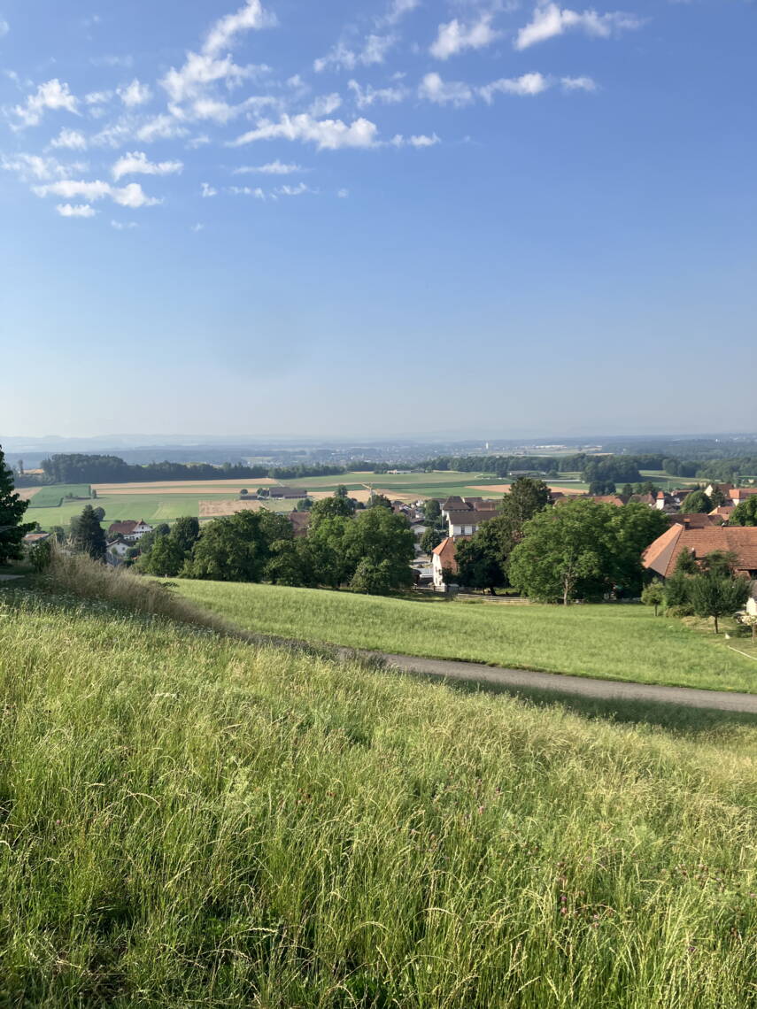 aussicht.jpg aussicht.jpg