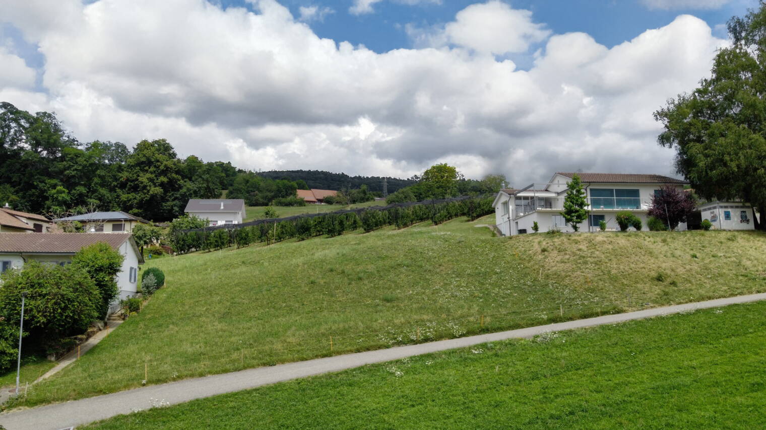 parzelle.jpg parzelle.jpg